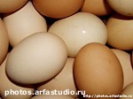 media:24543.2007
