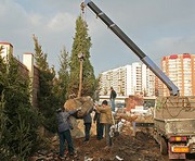 vkh:3149.2016