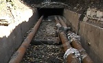 media:39398.2009