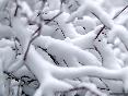 meteo:40592.2009