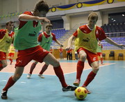 vkh:44455.2009