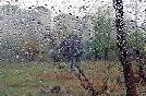 meteo:45541.2009