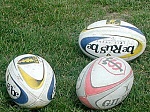 media:45559.2009