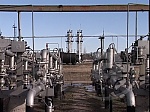 media:46053.2009
