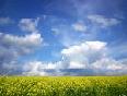 meteo:46081.2009
