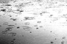 meteo:46131.2009