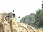 media:46249.2009