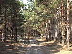 media:46440.2009