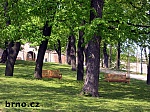 media:46521.2009