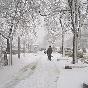 meteo:52545.2010