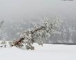meteo:52547.2010