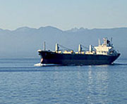 vkh:52636.2010