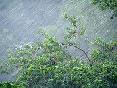 meteo:57133.2010