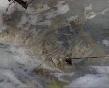 meteo:57317.2010