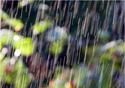 meteo:57378.2010