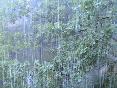 meteo:57384.2010