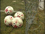 media:57480.2010