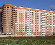 vkh:57752.2010