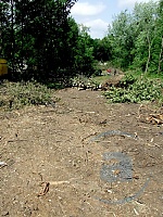 media:57856.2010