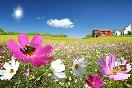 meteo:58160.2010