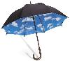 meteo:58498.2010
