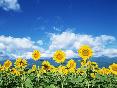 meteo:59694.2010
