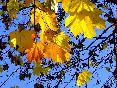 meteo:63749.2010