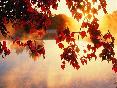 meteo:63823.2010
