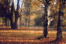 meteo:63862.2010