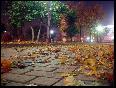 meteo:63905.2010