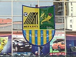 media:64132.2010