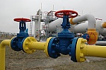 media:64226.2010
