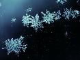 meteo:64366.2010