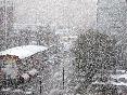 meteo:64906.2010