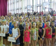 vkh:7399.2015