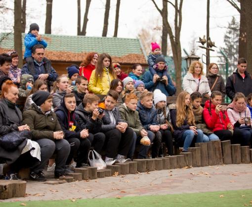 vkh:9517.2018