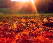 vkh:9807.2015