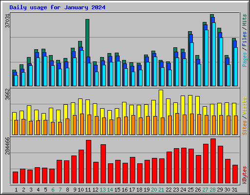 Daily usage for January 2024
