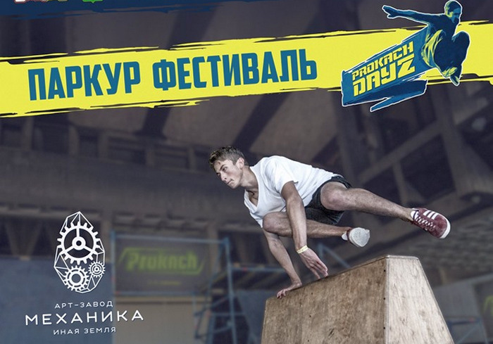 vkh:7303.2019