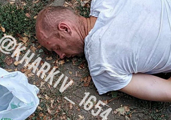 vkh:7338.2019