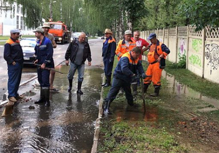 vkh:7458.2019