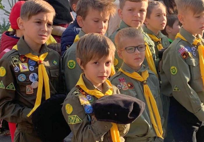 vkh:7591.2019