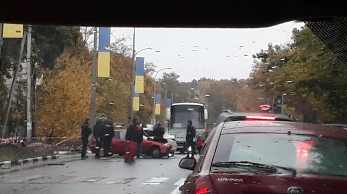 vkh:7955.2019