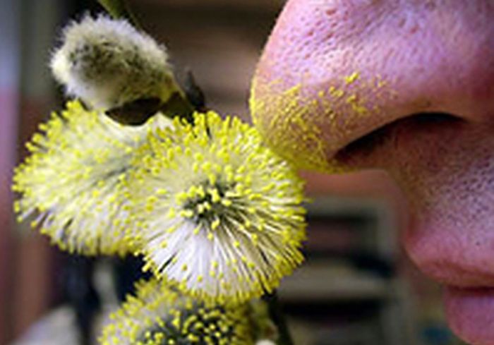 vkh:8082.2019