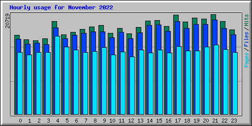 Hourly usage for November 2022