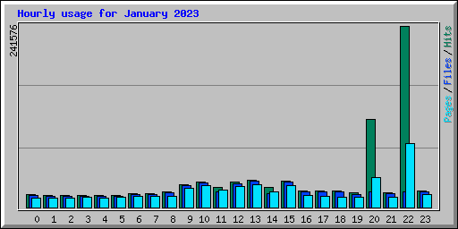 Hourly usage for January 2023