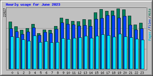 Hourly usage for June 2023