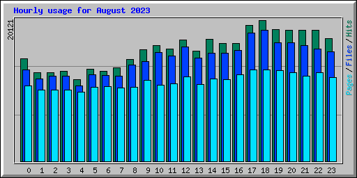 Hourly usage for August 2023